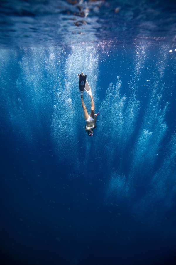 Activities offerd by Tree House luxury vacations Pvt. Ltd.